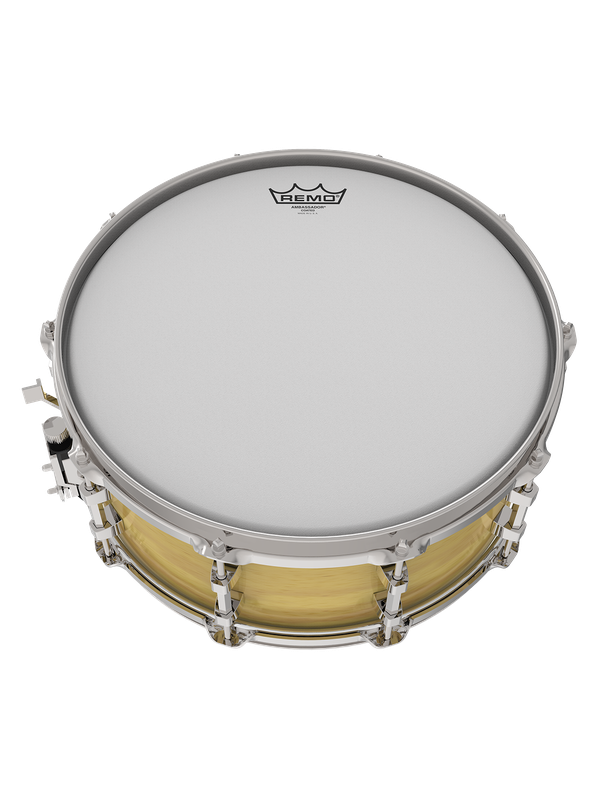 Snare